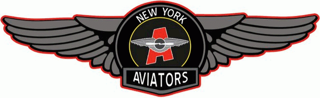 New York Aviators 201011 Primary Logo iron on heat transfer